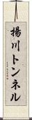 揚川トンネル Scroll