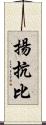 揚抗比 Scroll