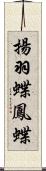 揚羽蝶 Scroll