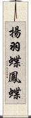 揚羽蝶;鳳蝶 Scroll