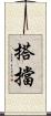 搭擋 Scroll