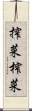 搾菜 Scroll