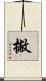 撇 Scroll