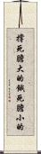 撐死膽大的，餓死膽小的 Scroll