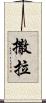 撒拉 Scroll