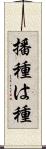 播種 Scroll