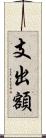 支出額 Scroll