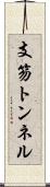 支笏トンネル Scroll