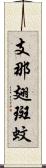 支那翅斑蚊 Scroll