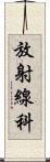 放射線科 Scroll