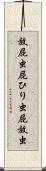 放屁虫 Scroll