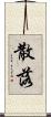 散落 Scroll