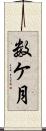 数ケ月 Scroll
