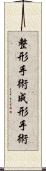 整形手術 Scroll