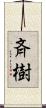 斉樹 Scroll