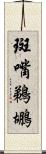 斑嘴鵜鶘 Scroll