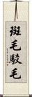 斑毛;駁毛 Scroll