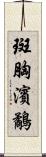 斑胸濱鷸 Scroll