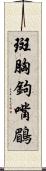 斑胸鉤嘴鶥 Scroll