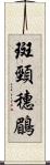 斑頸穗鶥 Scroll