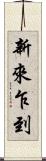 新來乍到 Scroll