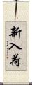 新入荷 Scroll