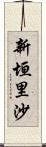 新垣里沙 Scroll