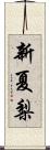 新夏梨 Scroll