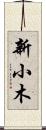 新小木 Scroll