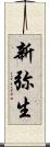 新弥生 Scroll