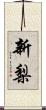 新梨 Scroll