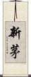 新茅 Scroll