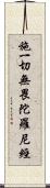 施一切無畏陀羅尼經 Scroll