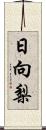 日向梨 Scroll