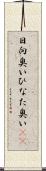 日向臭い Scroll
