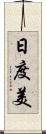 日度美 Scroll
