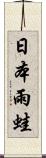日本雨蛙 Scroll