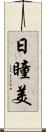 日瞳美 Scroll