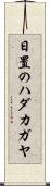 日置のハダカガヤ Scroll