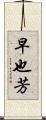 早也芳 Scroll