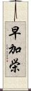 早加栄 Scroll