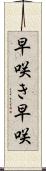 早咲き Scroll