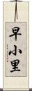 早小里 Scroll