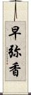 早弥香 Scroll