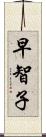 早智子 Scroll
