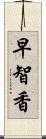 早智香 Scroll