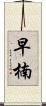 早楠 Scroll
