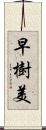 早樹美 Scroll