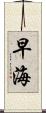 早海 Scroll