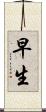 早生 Scroll